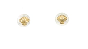 8.5-9mm Cultured Pearl Seashell Stud Earrings in 14k Yellow Gold with Sterling Silver