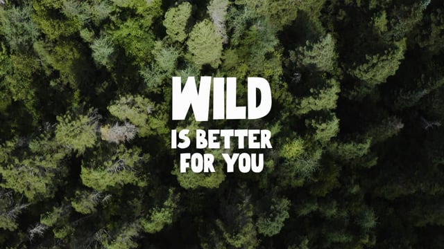 Vimeo Video Still for 