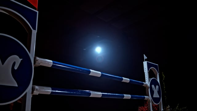 Unleashing the Power of Cavaletti in Your Florida Horse Arena