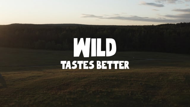 Vimeo Video Still for 