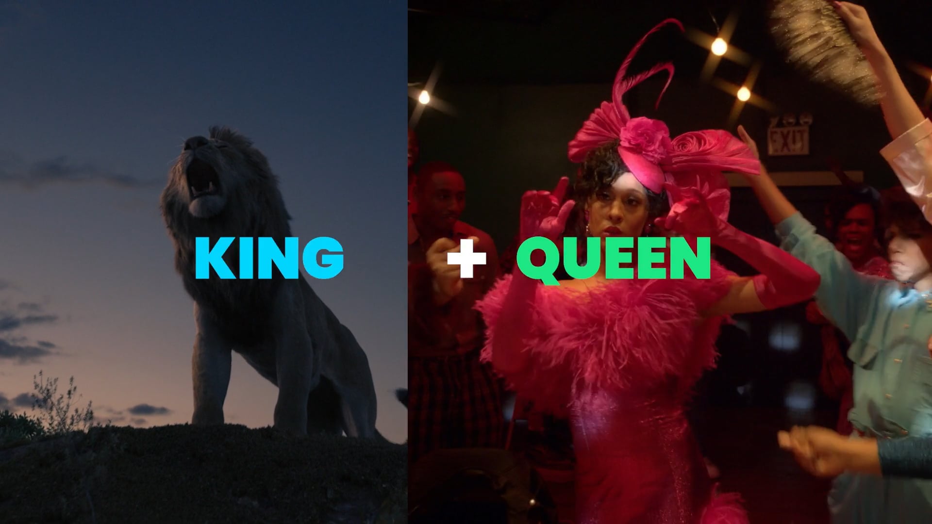 D+ Bundle - "This or That"