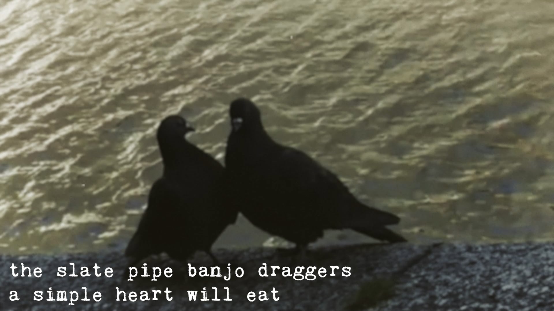the slate pipe banjo draggers - a simple heart will eat
