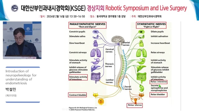 Introduction of neuropelveology for understanding of  endometriosis