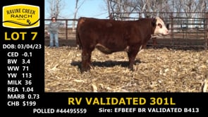 Lot #7 - RV VALIDATED 301L