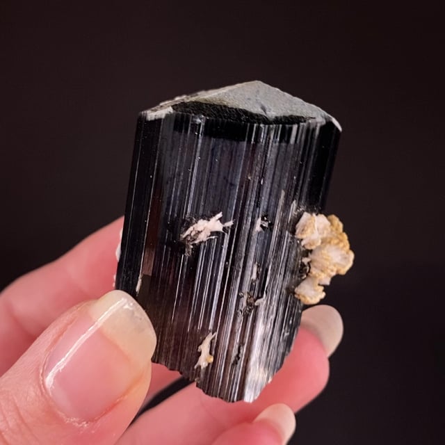 Schorl with Albite