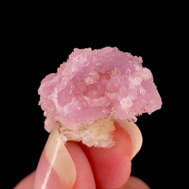 Quartz var: Rose (historic locality)