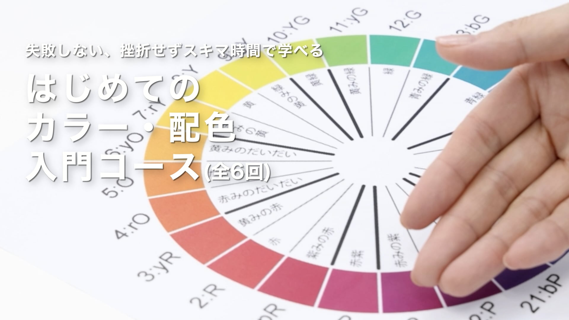 カリキュラム動画のサムネイル画像