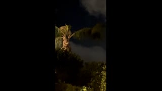 An illuminated palm tree beneath clouds in the night sky in La Quinta.
