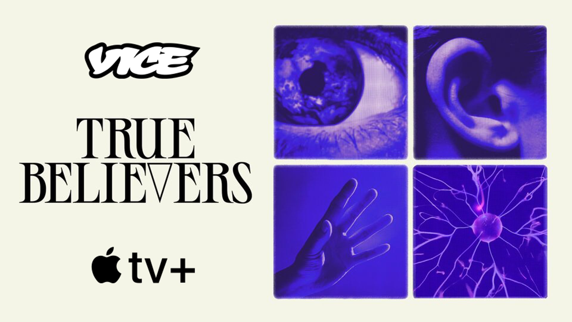 vice true believers : the rehab mogul - dp