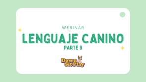 Webinar - Lenguaje canino parte 3