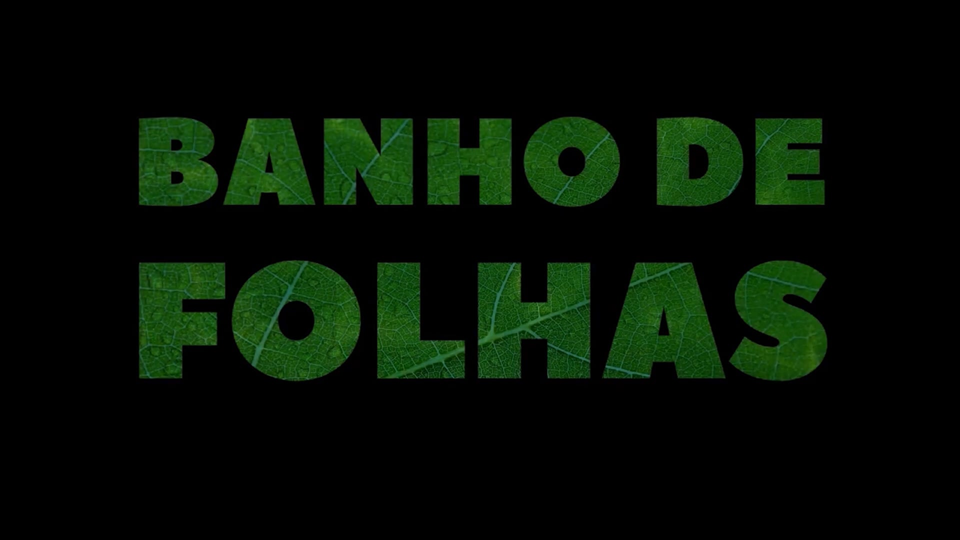 BANHO DE FOLHAS 2024