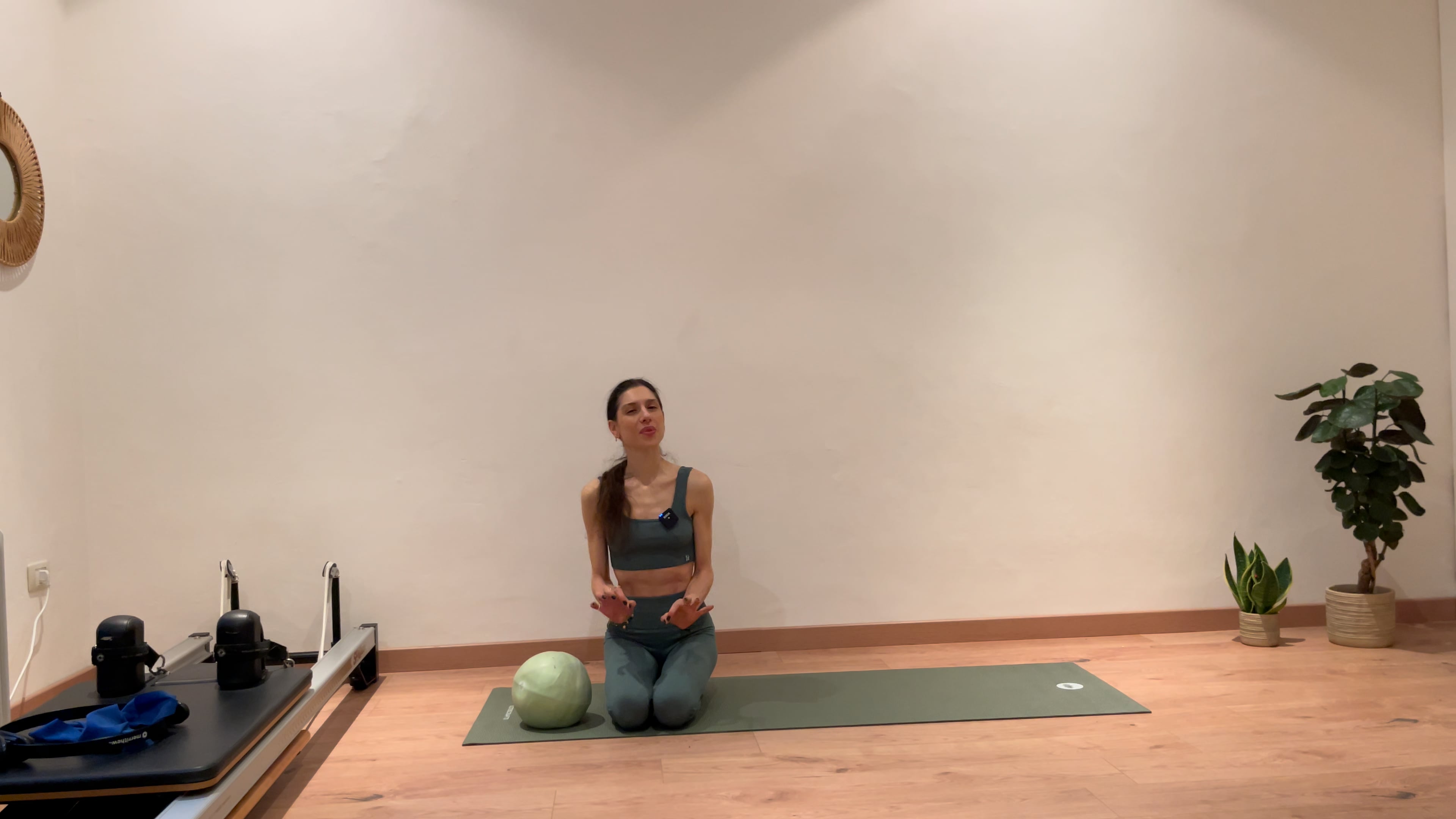ABS boost- sweet burn with the Pilates Ball