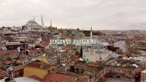Season of Awakening • "How do you know when a painting is ready?" 