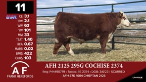 Lot #11 - AFH 2125 295G COCHISE 2374