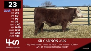 Lot #23 - SR CANNON 2309