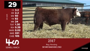 Lot #29 - 2317