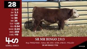 Lot #28 - *** OUT *** SR MR BINGO 2313