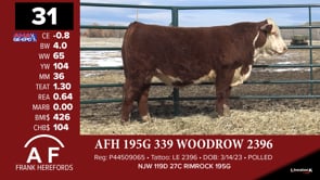 Lot #31 - AFH 195G 339 WOODROW 2396