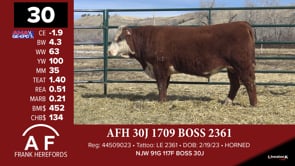 Lot #30 - AFH 30J 1709 BOSS 2361