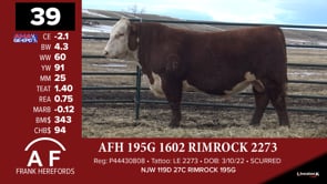 Lot #39 - AFH 195G 1602 RIMROCK 2273