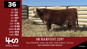 Lot #36 - SR HARVEST 2297