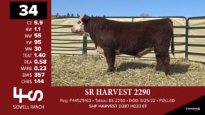Lot #34 - SR HARVEST 2290