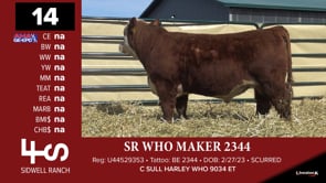 Lot #14 - SR WHO MAKER 2344