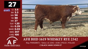 Lot #27 - AFH BHD 1619 WHISKEY RYE 2342