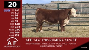 Lot #20 - AFH 7437 1708 RUMERZ 2324 ET