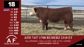 Lot #18 - *** OUT *** AFH 7437 1708 RUMERZ 2310 ET