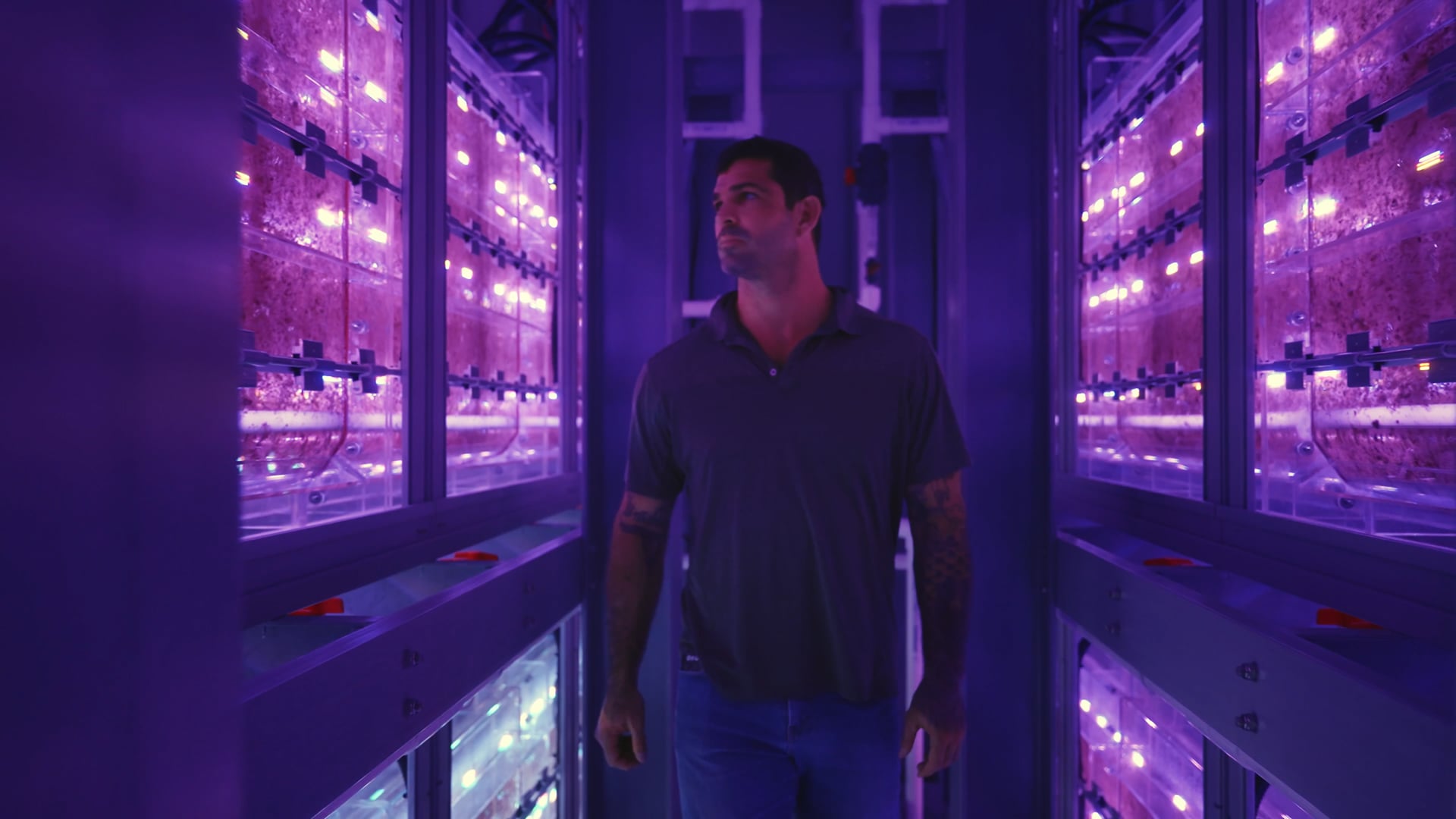 Provectus Algae  // Promo 2023