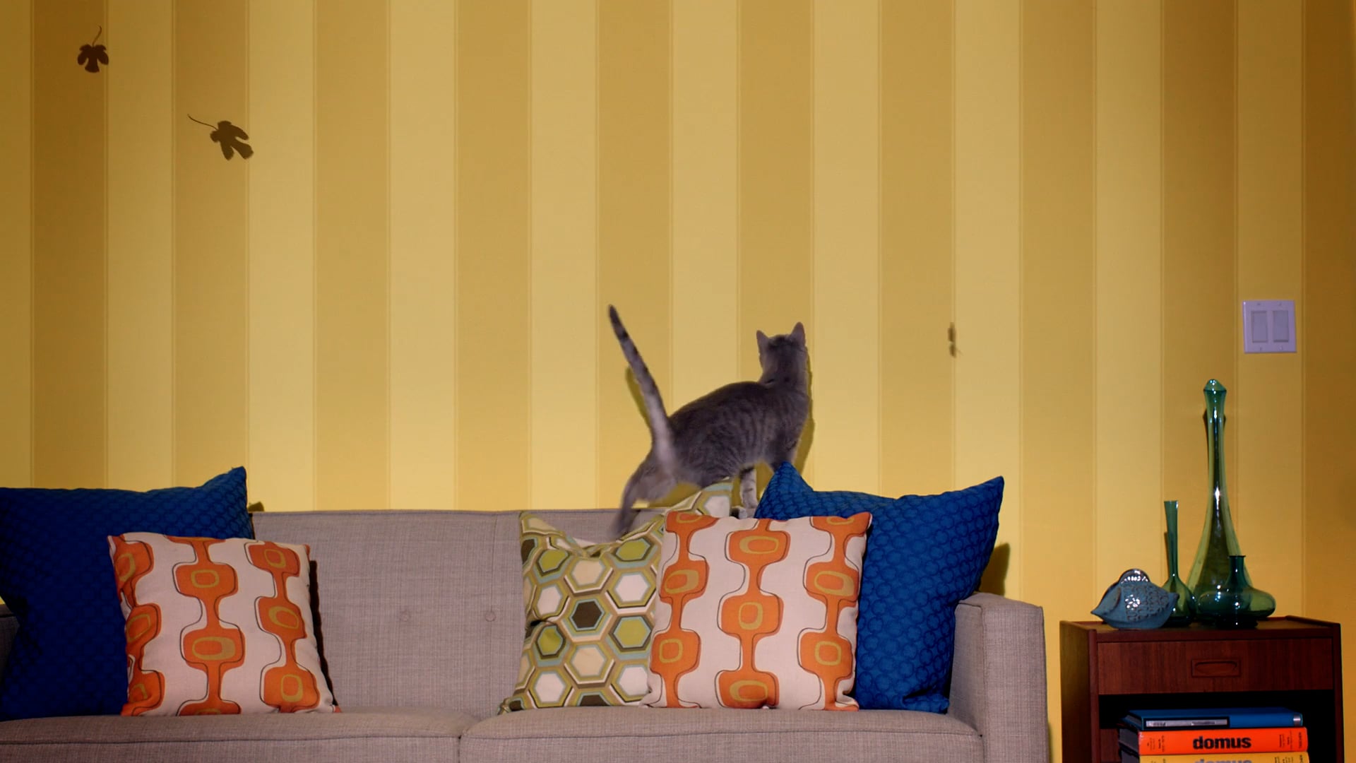 Friskies 'Feed the Senses'-HD