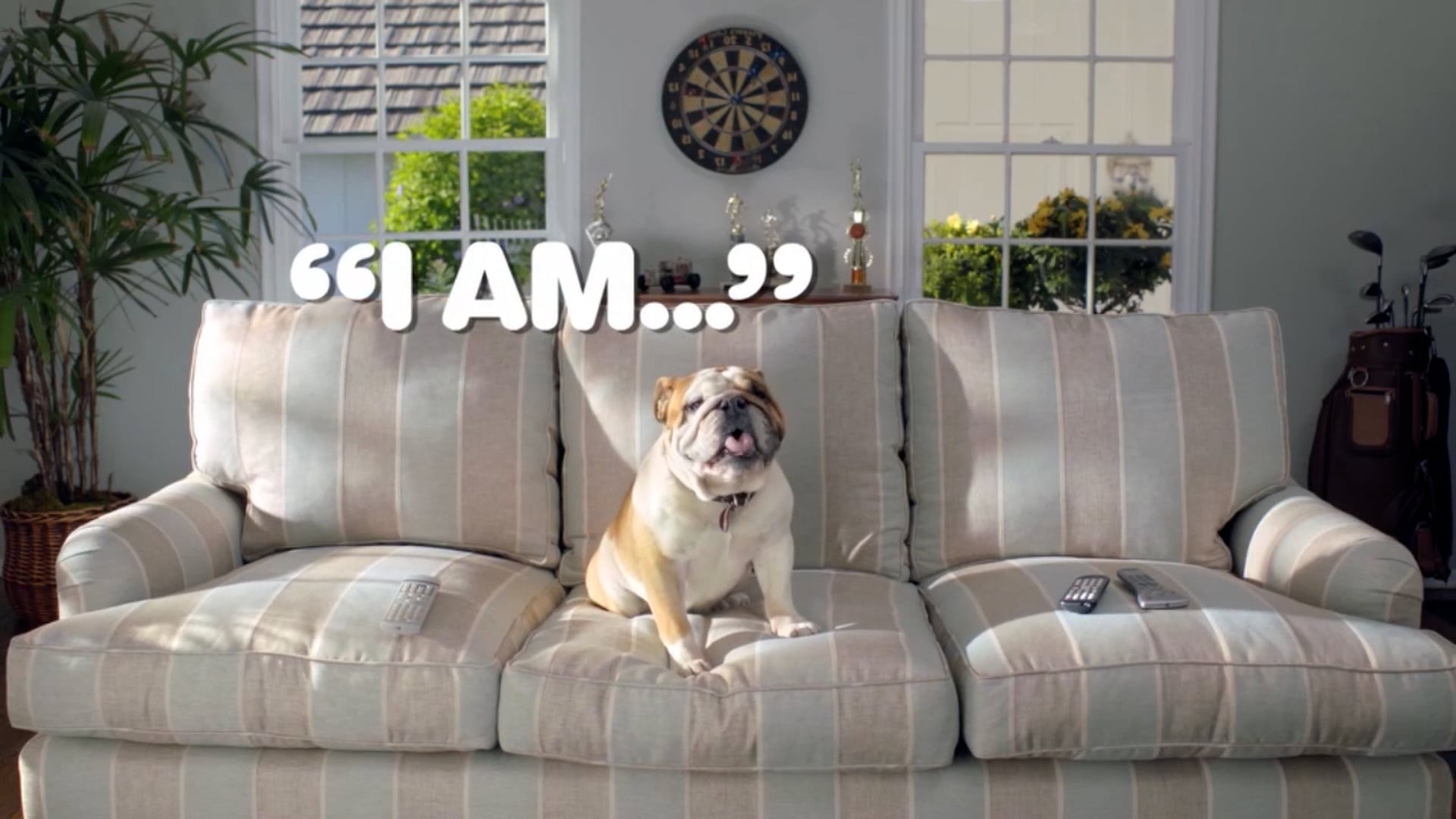 IAMS 'Manifesto'-HD