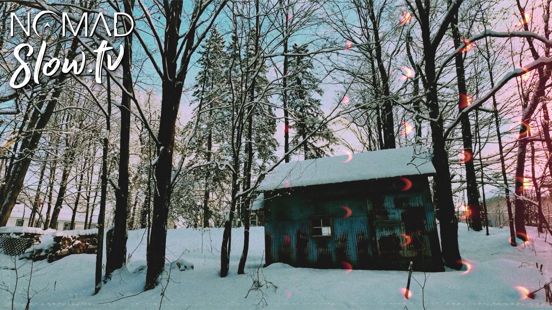 Serene Snow Walk | Wings For Louise - 'Time and Space' from FAUNA | NOMADslow.tv