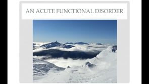 12. An Acute Functional Disorder