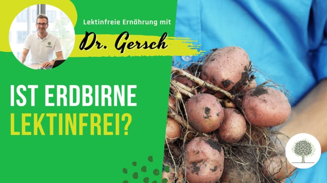 Ist die Erdbirne lektinfrei?