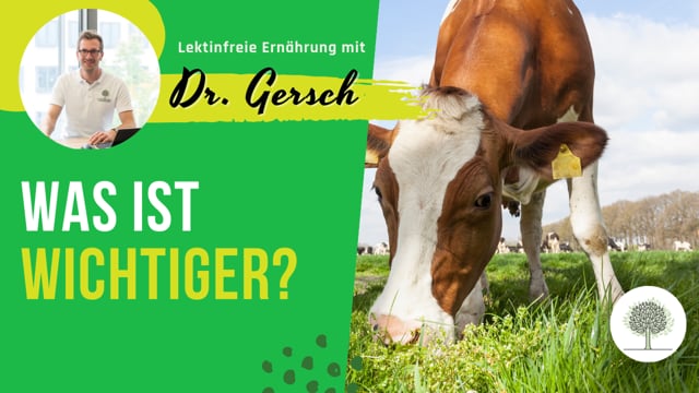 Video: Was ist wichtiger A1- oder A2-Casein oder die Fütterung? 