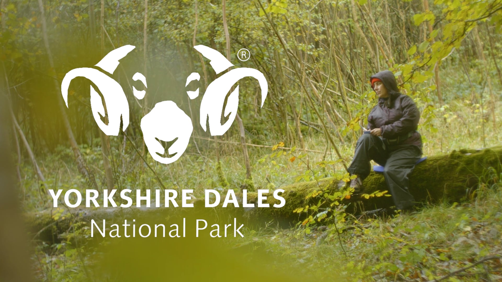 Reconnecting with Nature | Yorkshire