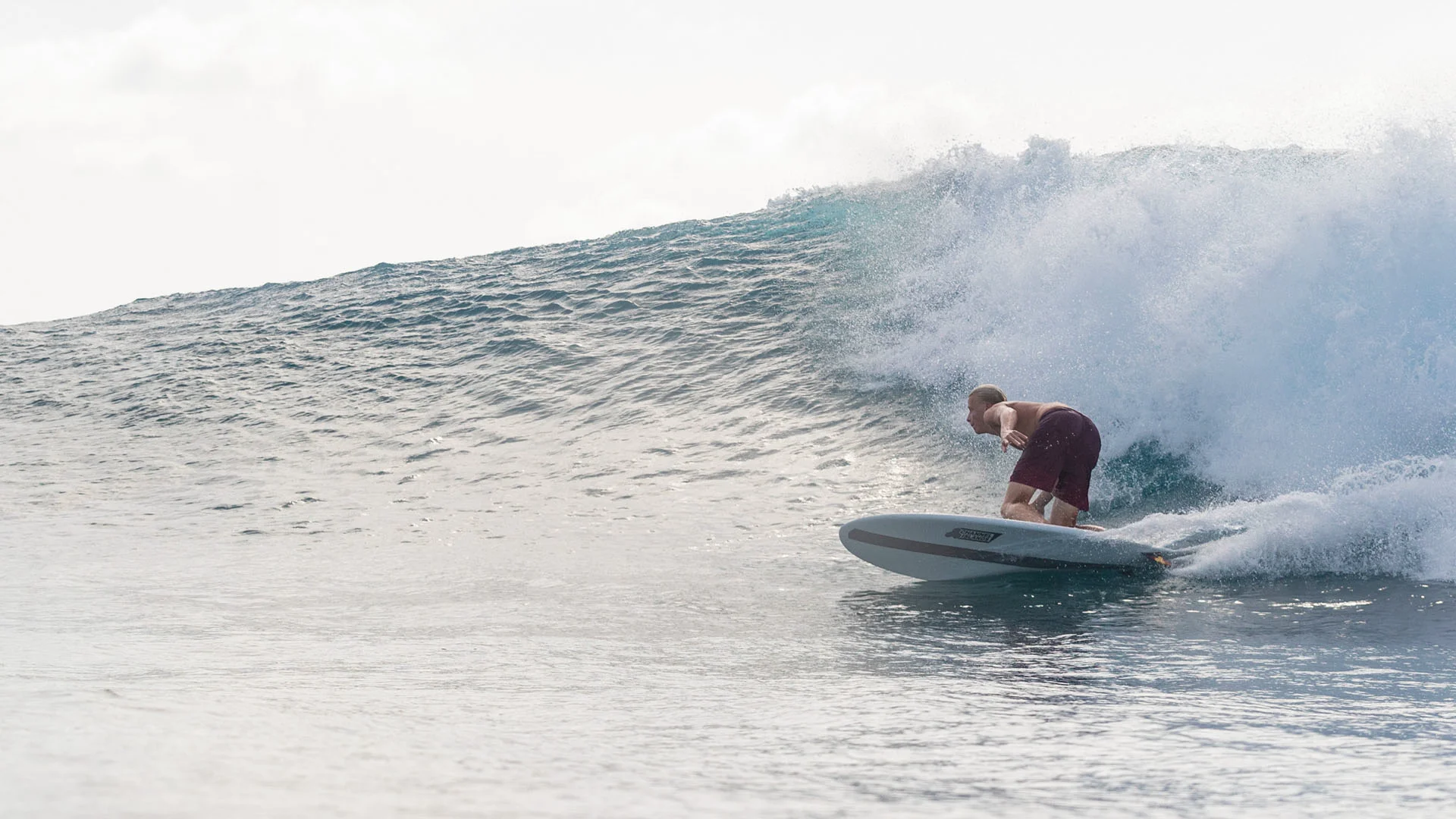 Channel Island torq Chancho Surfboard Online - Kannonbeach