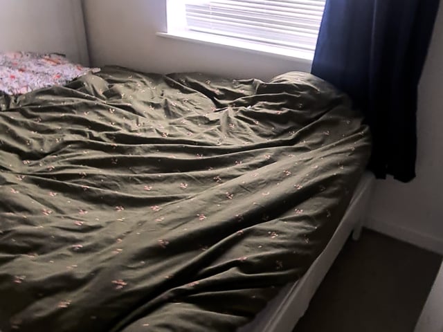  Double  room for rent to single professionals onl Main Photo