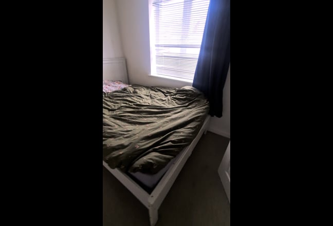  Double  room for rent to single professionals onl Main Photo