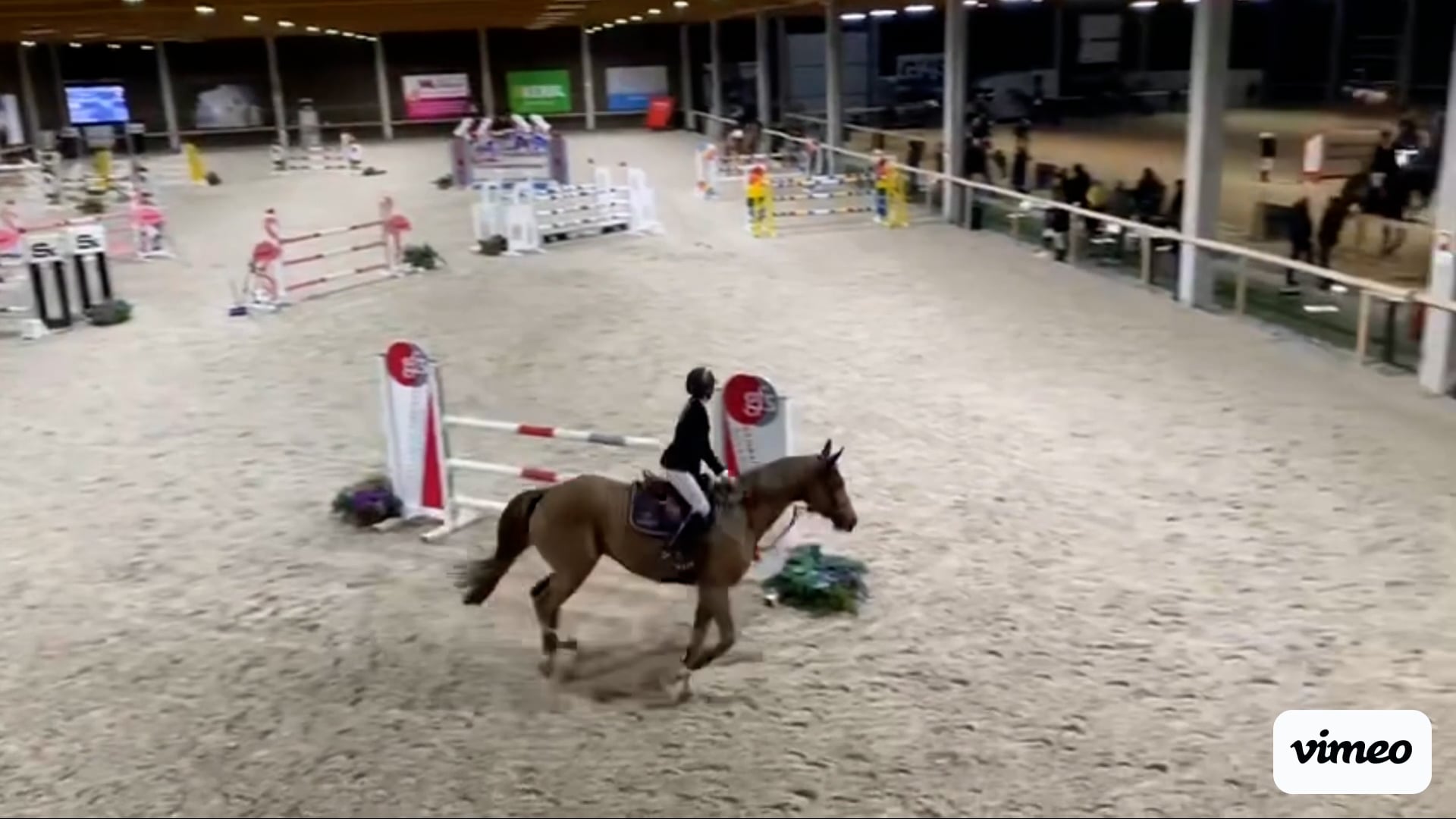Diamantina Z 💎 jumping clear 😍 in our first 130