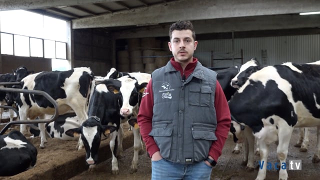 Nueva incorporación al equipo Ingenuity de ABS: Finca Padronelo