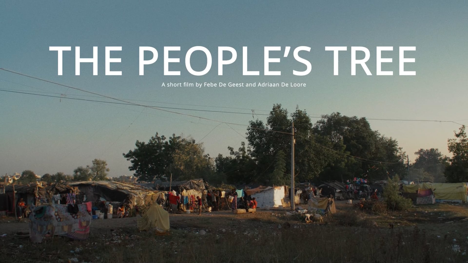 The People's Tree - Short Documentary