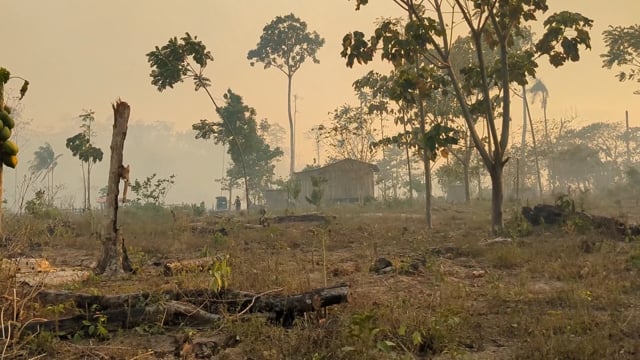 Impact of climate change on Tacana ancestral farming knowledge