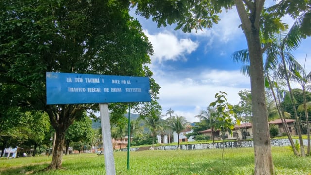 El territorio Tacana en contra del tráfico de fauna silvestre