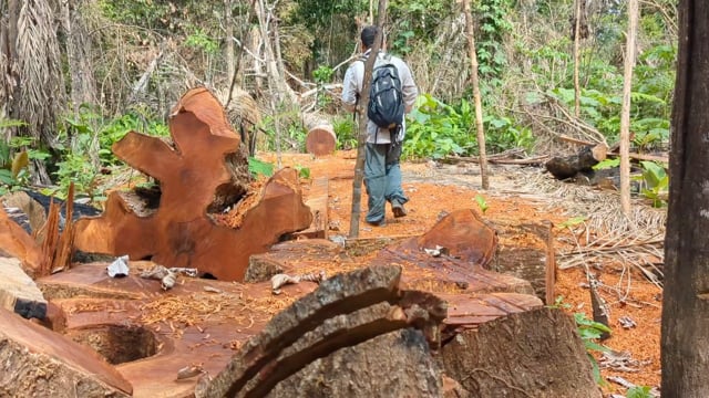 Patrullaje conjunto con comunarios en el RB-TCO Pilon Lajas