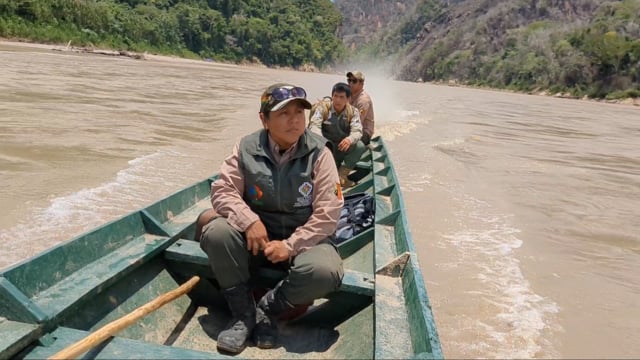 Patrullaje conjunto entre áreas protegidas del PN-ANMI Madidi y el RB-TCO Pilón Lajas