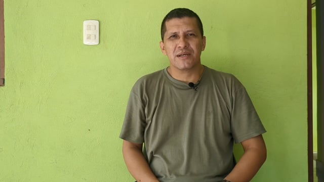 Impacto del tráfico en el jaguar