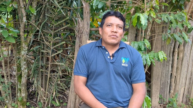 Leco coffee production